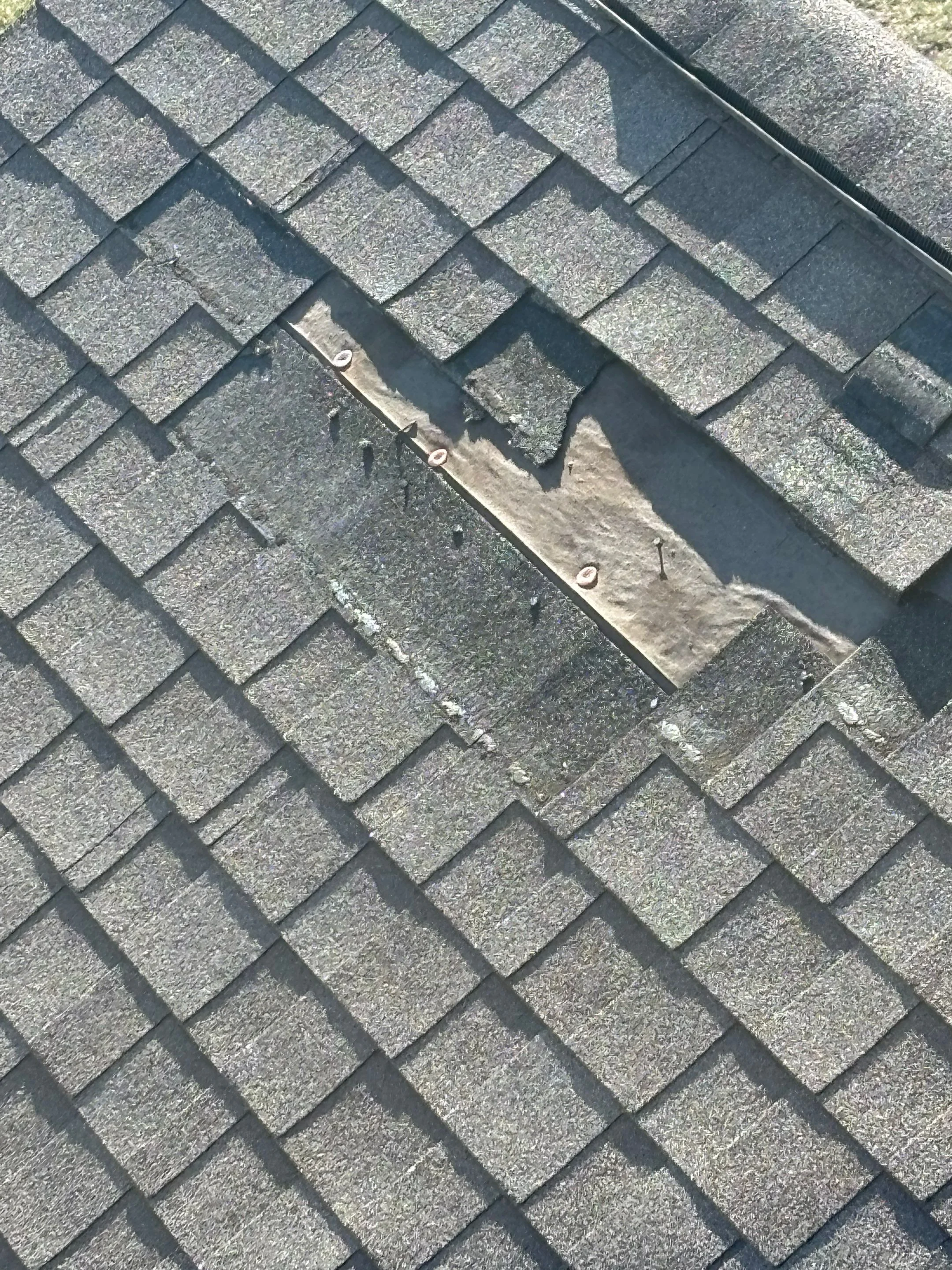 Is Galvalume Steel Roofing Right for Your Sunblest Farms Home?